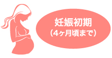 妊娠初期