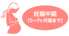 妊娠初期