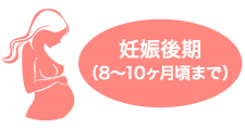 妊娠初期
